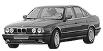 BMW E34 U2195 Fault Code